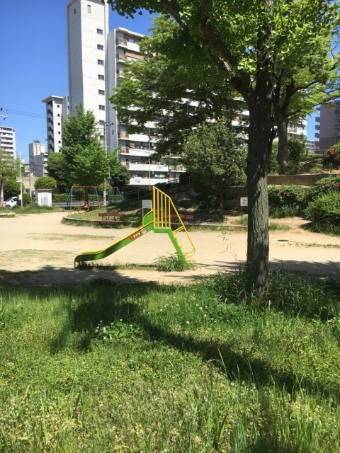 公園　波除公園（公園）まで1153m