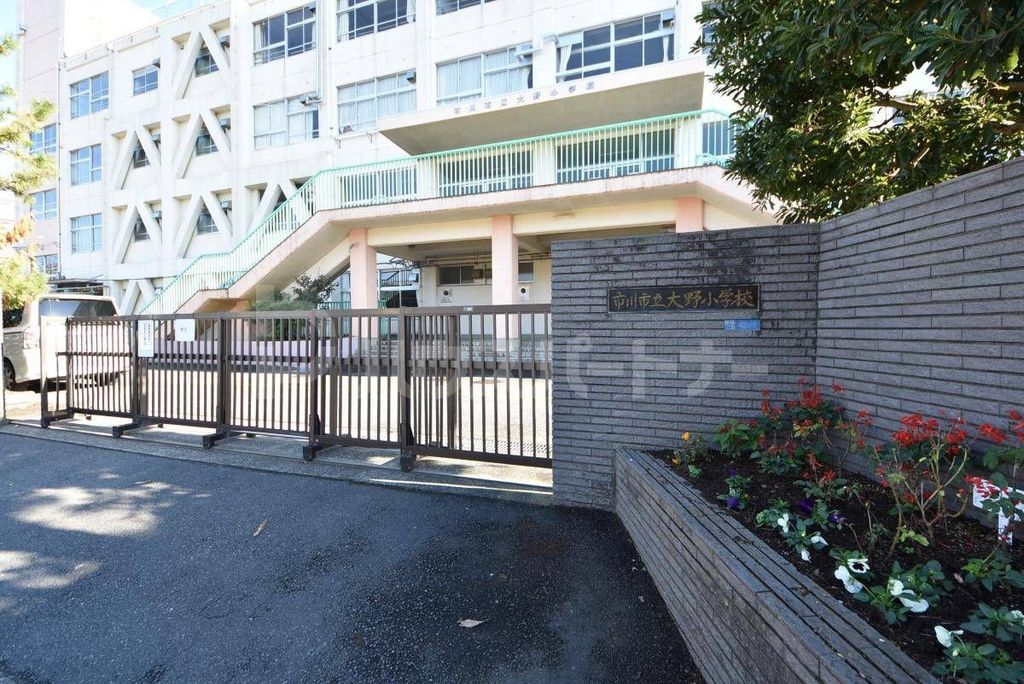 小学校　市川市立大野小学校（小学校）まで710m