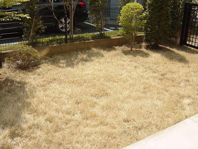 庭　専用庭