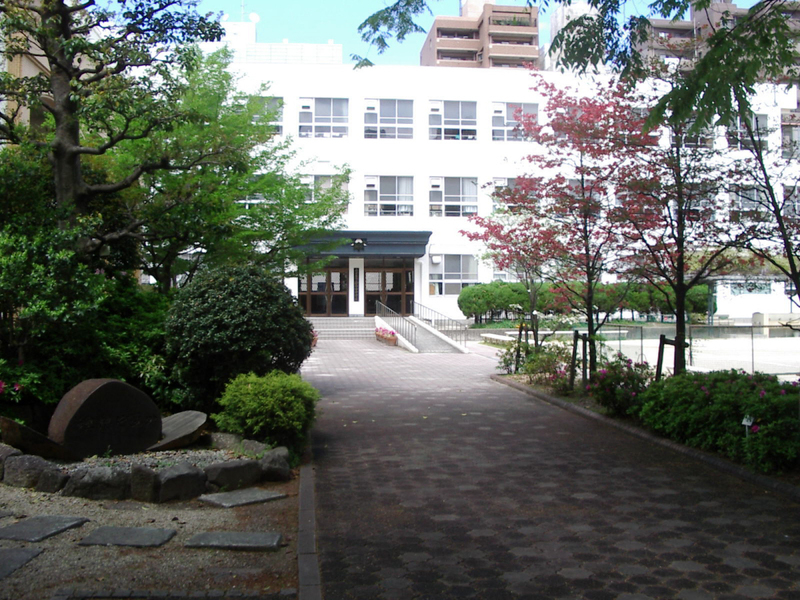 中学校　冨士中学校（中学校）まで557m