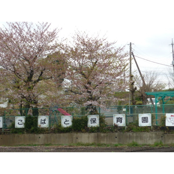 幼稚園・保育園　こばと保育園（幼稚園・保育園）まで568m