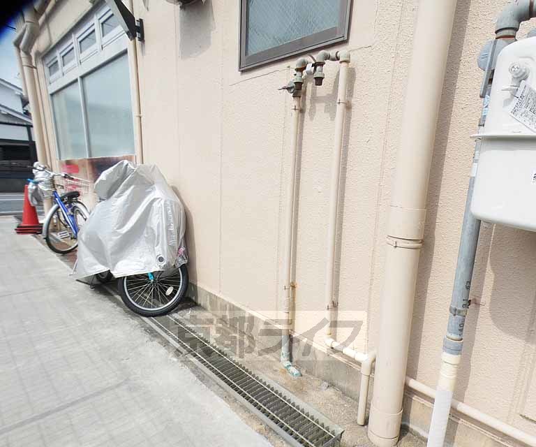 庭