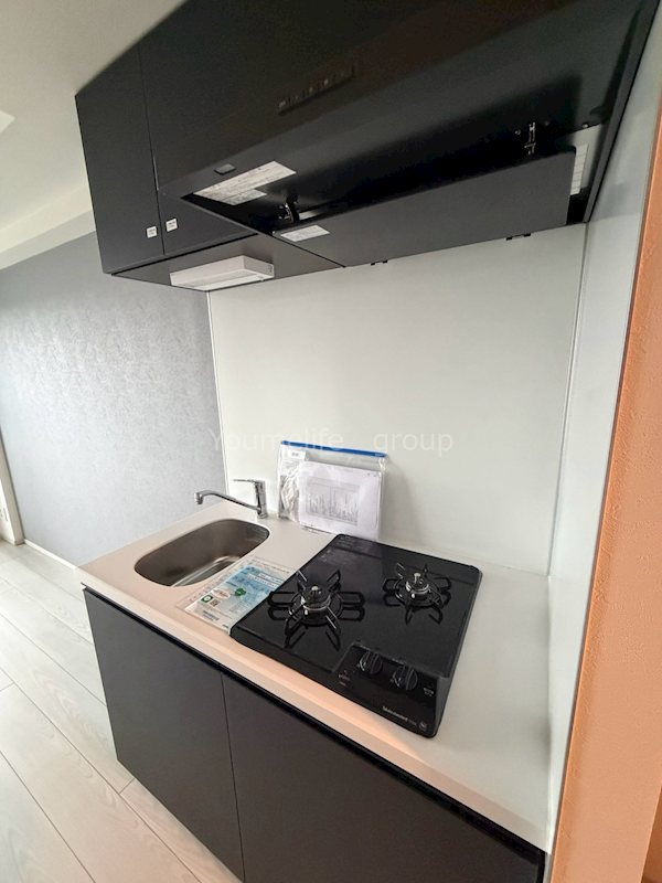 デュオステージ海老名IIのキッチン写真