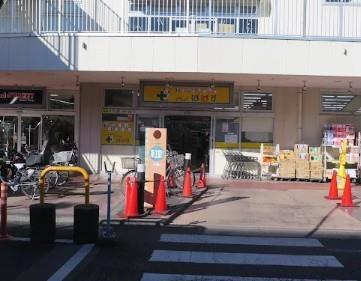 ドラックストア　どらっぐぱぱす カリブ梅島店（ドラッグストア）まで343m