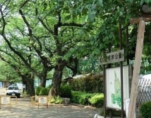 公園　羽根木小緑地（公園）まで581m