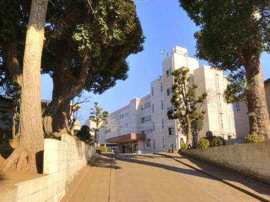 小学校　柏市立富勢小学校（小学校）まで135m