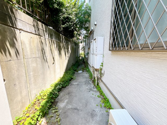 庭