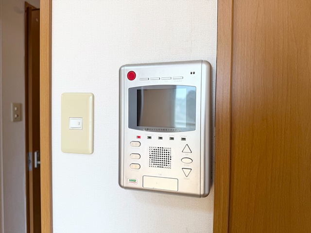 グレースカナリアのその他写真