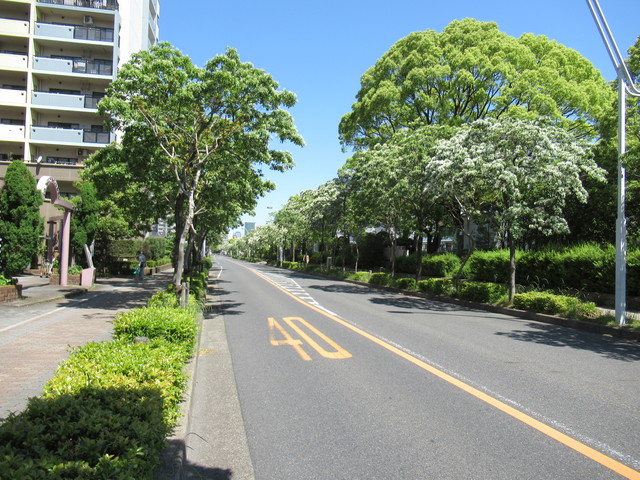 【ＵＲ白鳥パークハイツ日比野東のその他共有部分】