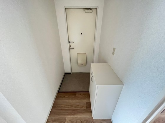 玄関　※別号室の写真です