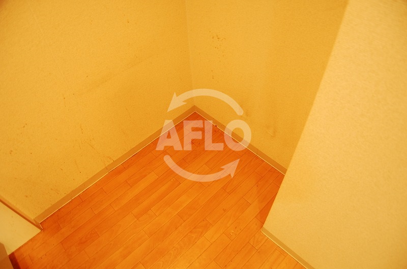 居室・リビング　ルーセントオーデン難波　冷蔵庫置き場