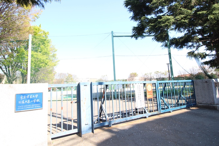 小学校　東京学芸大学附属大泉小学校（小学校）まで850m