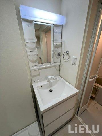 洗面設備　シャンプードレッサー※同シリーズ物件の写真になります