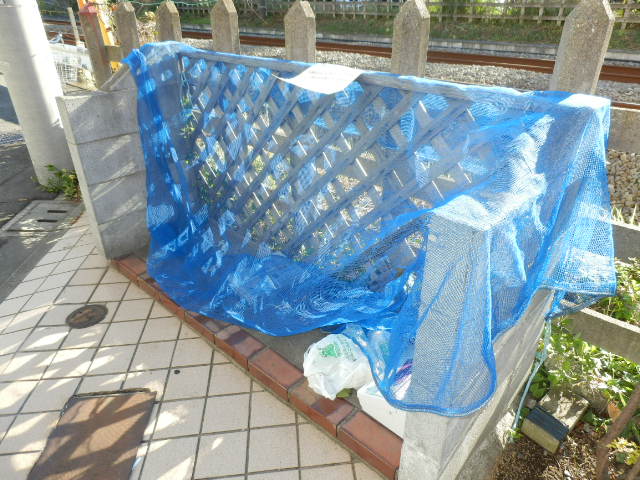 その他共有部分　敷地内ゴミ置き場。