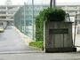 中学校　柏市立光ケ丘中学校（中学校）まで732m