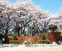 公園　清水公園（公園）まで1796m