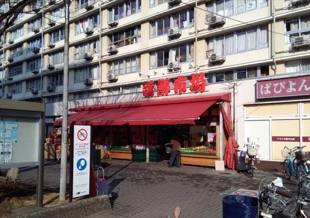 スーパー　新鮮市場亀戸店（スーパー）まで173m