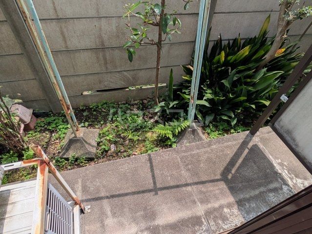 庭