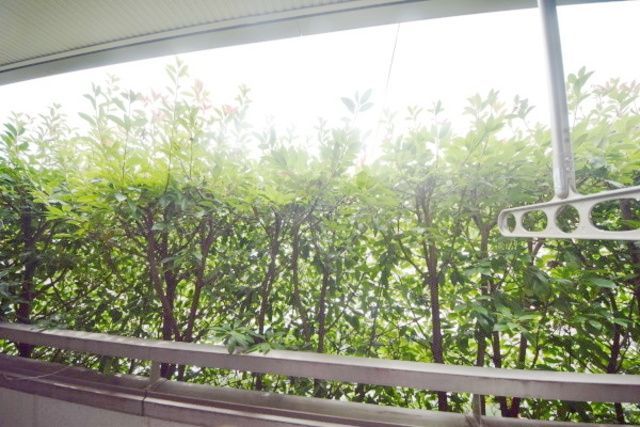眺望　★★ベランダからの景色★★