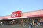 スーパー　ベルクス墨田店（スーパー）まで732m