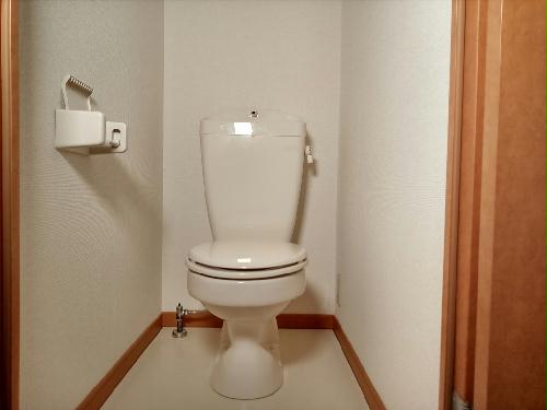 トイレ　備品や設備仕様は号室等により異なります。現地をご確認下さい。