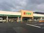 スーパー　スーパーナガヤ鎌田店（スーパー）まで1276m