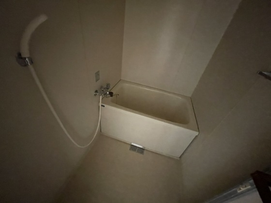 バス・シャワールーム　※別部屋の写真です