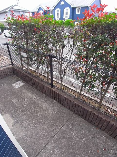 庭
