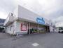 ドラックストア　ウエルシア清水八木間店（ドラッグストア）まで275m