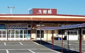 スーパー　生鮮館やまひこ（スーパー）まで239m