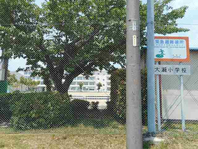 小学校　大瀬小学校（小学校）まで823m