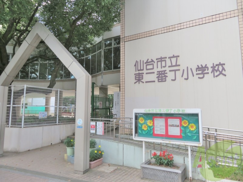 小学校　仙台市立東二番丁小学校（小学校）まで497m