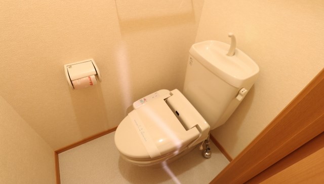 トイレ　MODE不動産に賃貸おまかせ♪栃木県全域お探し可能♪初期費用