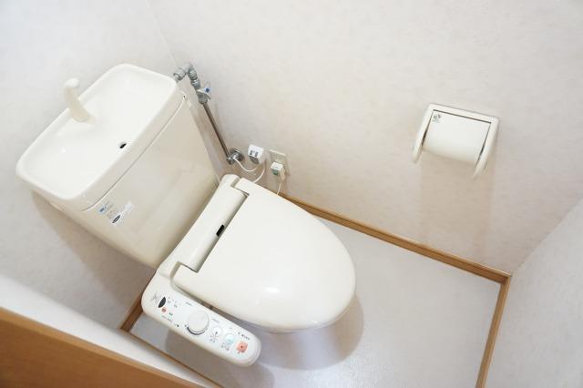 トイレ　トイレ