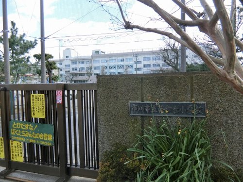 小学校　市川市立百合台小学校（小学校）まで494m