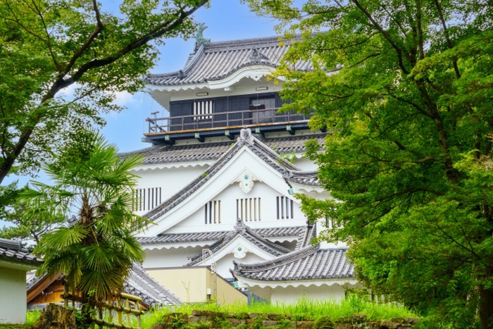 公園　岡崎公園（公園）まで660m