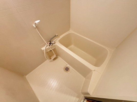 バス・シャワールーム　※別部屋の写真です