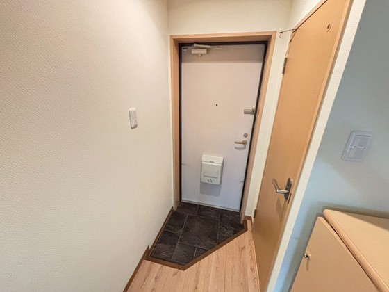 玄関　※別部屋の写真です
