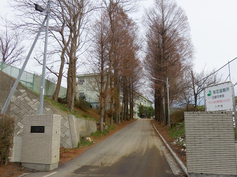 中学校　白銀中学校（中学校）まで350m