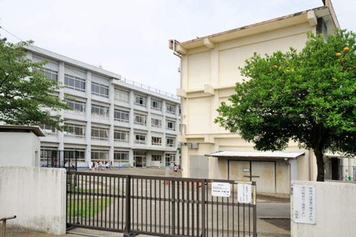 小学校　藤沢小学校（小学校）まで194m