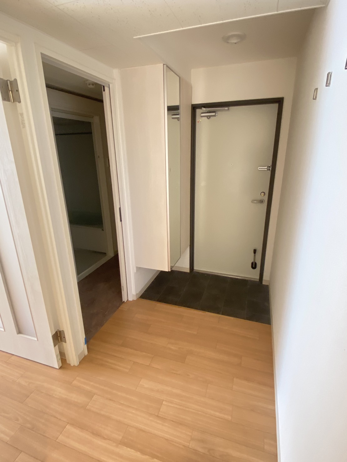 玄関　※他号室のお写真です。