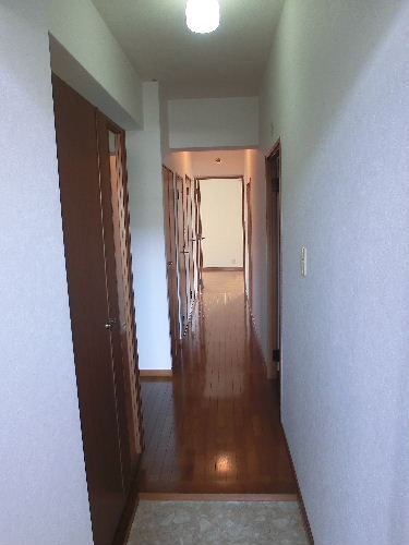 玄関　※同物件別部屋参考写真です。現状優先になります。