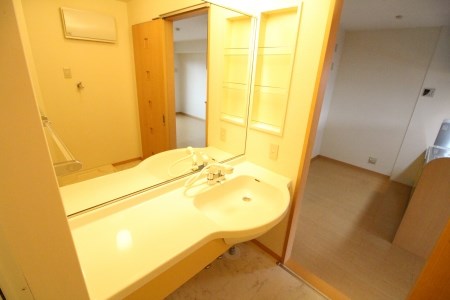 洗面設備　写真は別号室です。