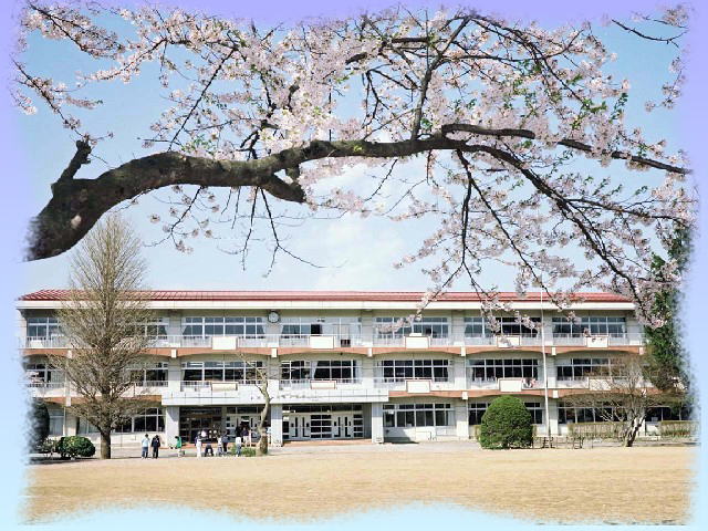 小学校　河北小学校（小学校）まで537m