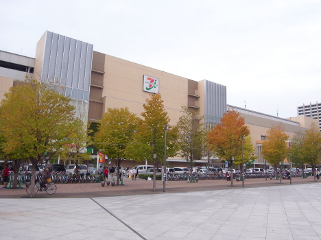 ショッピングセンター　アリオ川口（ショッピングセンター）まで800m