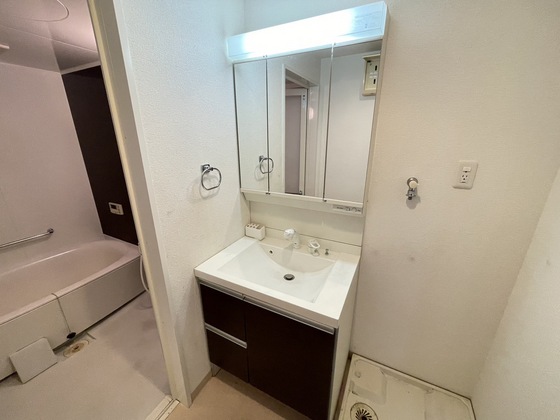 洗面設備　※別部屋の写真です