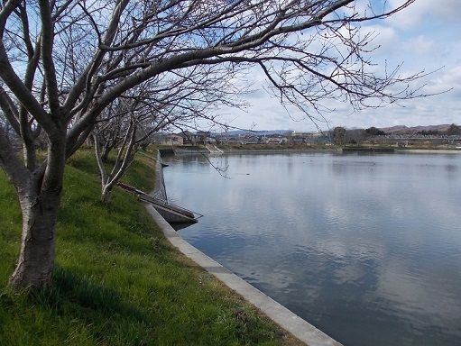 公園　服部大池公園（公園）まで500m