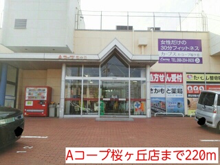 スーパー　Ａコープ（スーパー）まで220m
