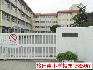小学校　桜丘東小学校（小学校）まで850m
