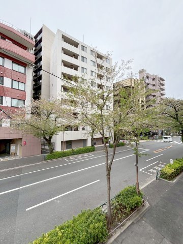 眺望　バルコニーからの眺望です